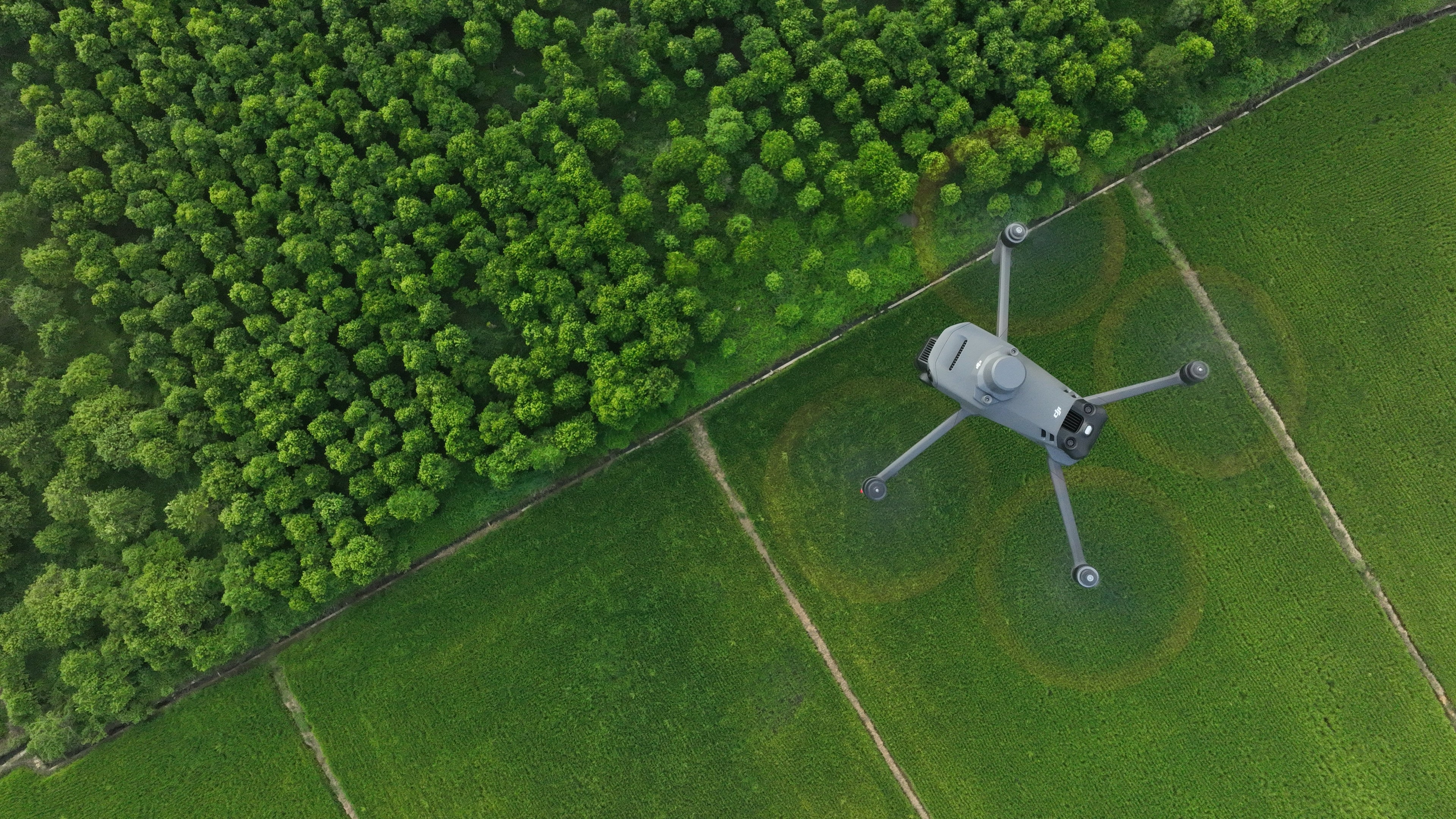 Drone inspections with the DJI Mavic 3M: precise, fast, and reliable for agriculture